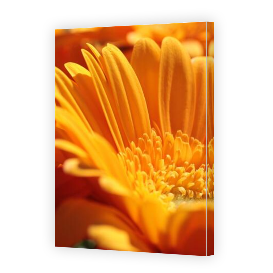 Thumbnail for Canvas - Mirror Image Canvas Wrap