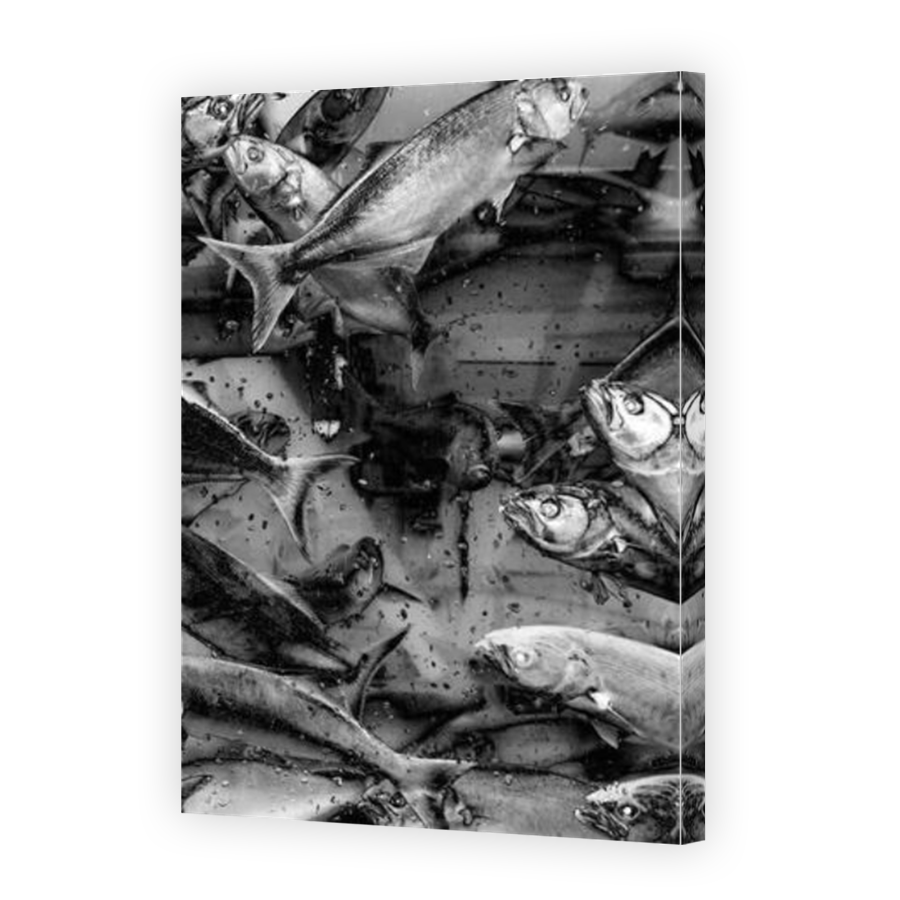 Thumbnail for Canvas - Mirror Image Canvas Wrap