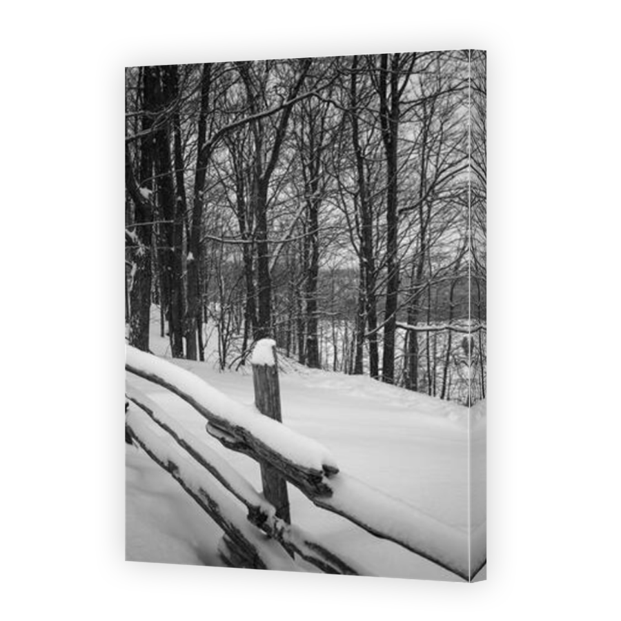 Thumbnail for Canvas - Mirror Image Canvas Wrap