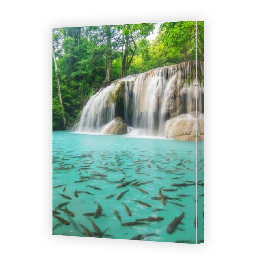 Thumbnail for Canvas - Mirror Image Canvas Wrap