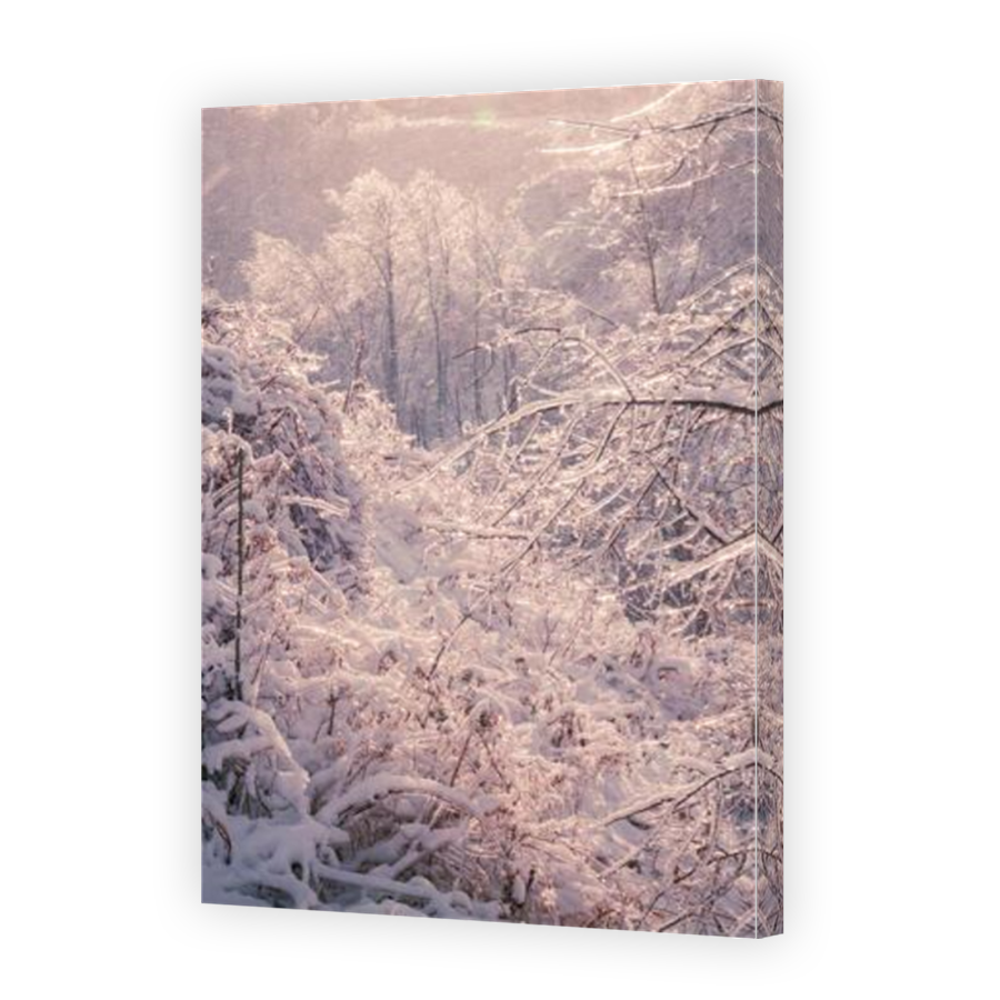 Thumbnail for Canvas - Mirror Image Canvas Wrap