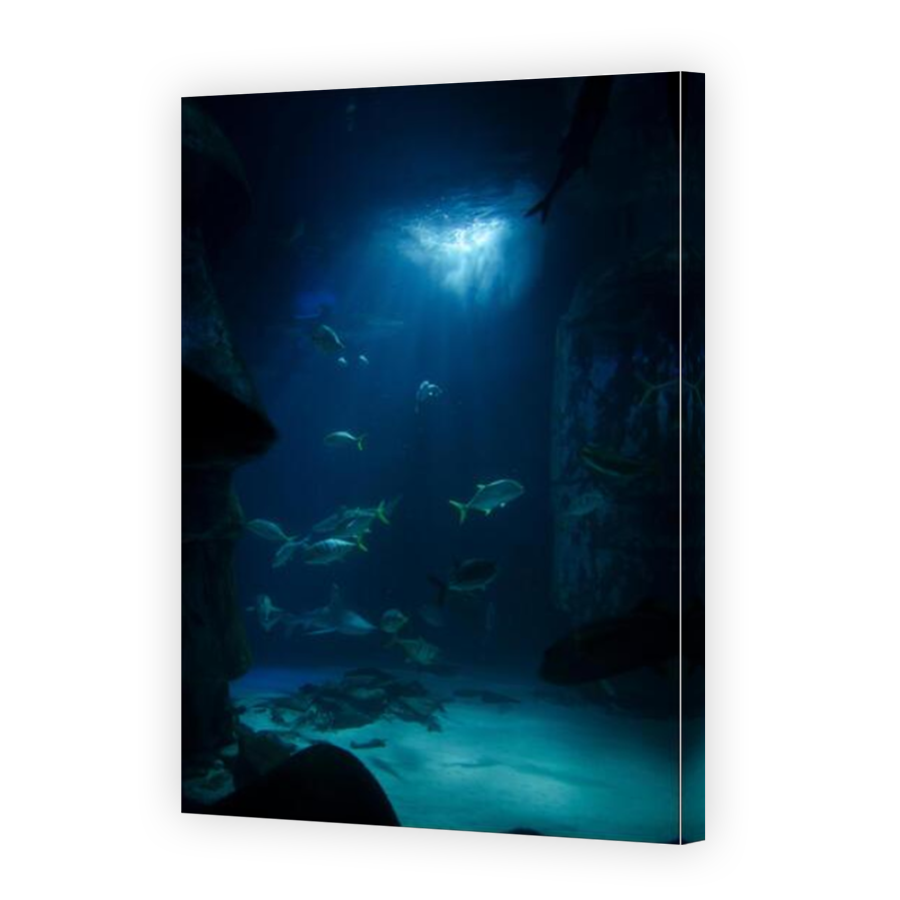 Thumbnail for Canvas - Mirror Image Canvas Wrap