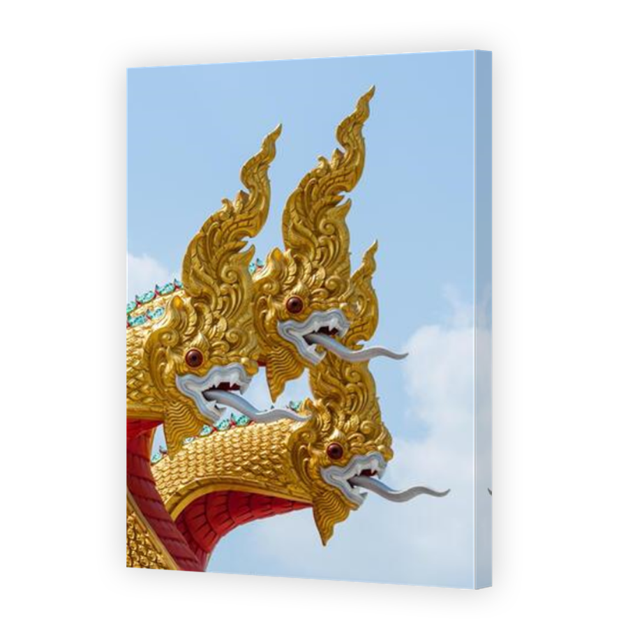 Thumbnail for Canvas - Mirror Image Canvas Wrap