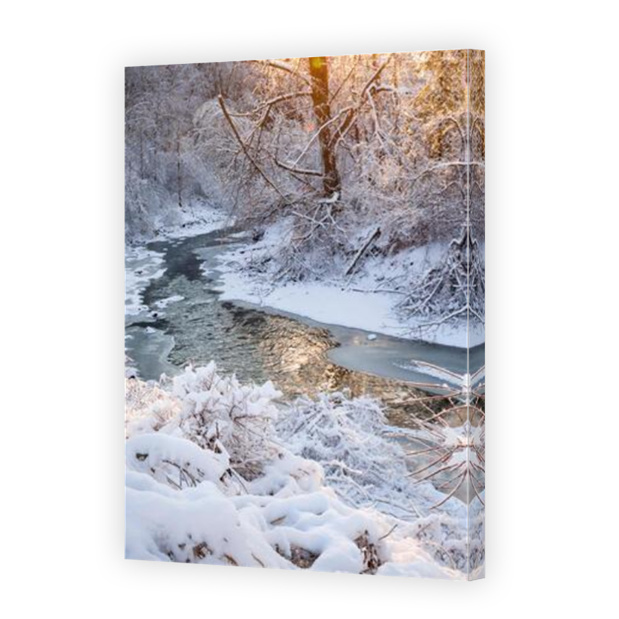 Thumbnail for Canvas - Mirror Image Canvas Wrap