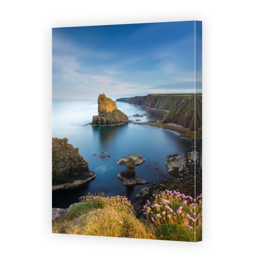 Thumbnail for Canvas - Mirror Image Canvas Wrap