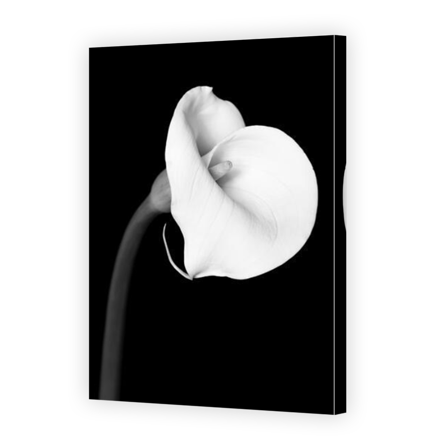 Thumbnail for Canvas - Mirror Image Canvas Wrap