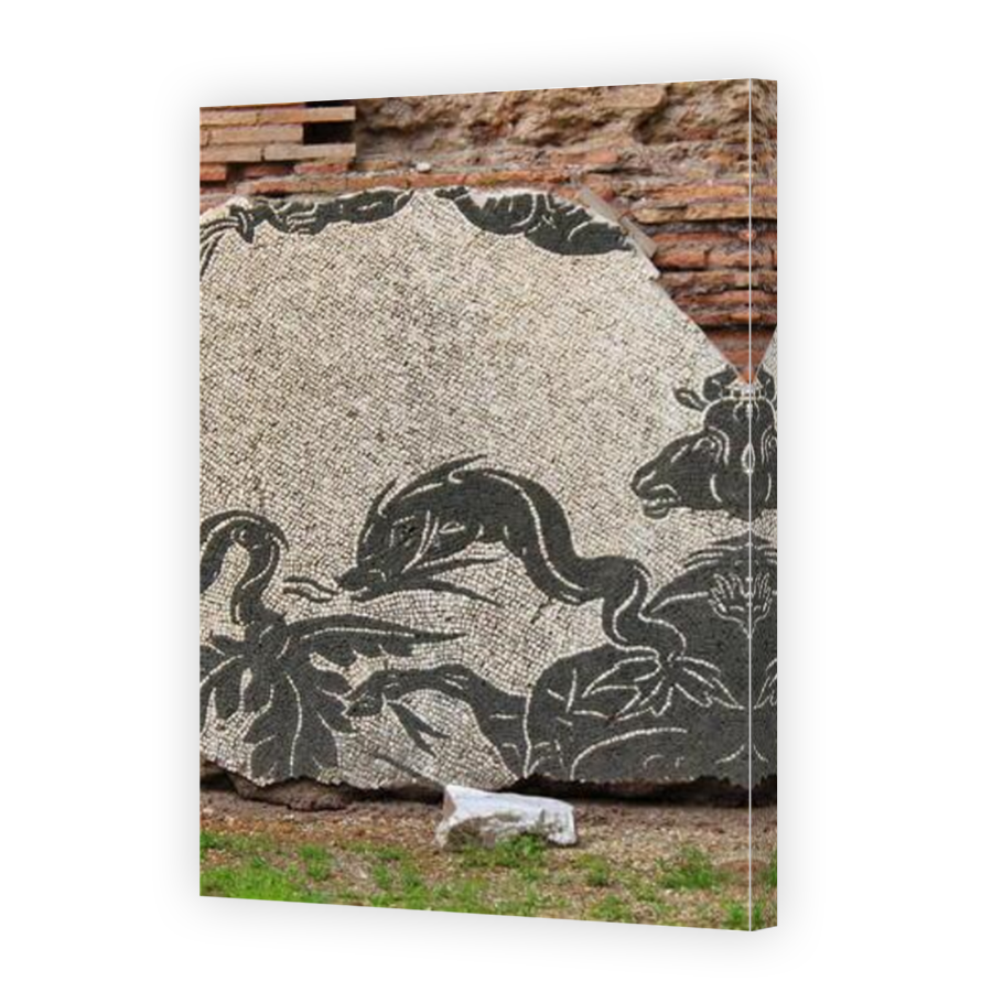 Thumbnail for Canvas - Mirror Image Canvas Wrap