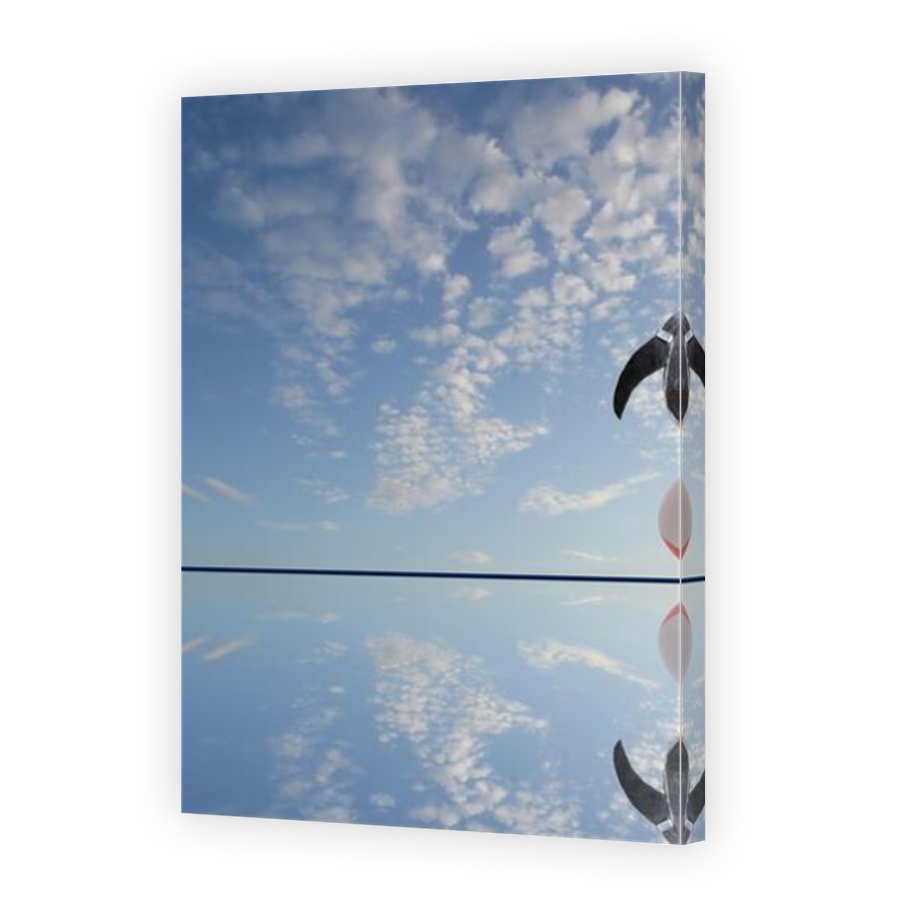 Thumbnail for Canvas - Mirror Image Canvas Wrap