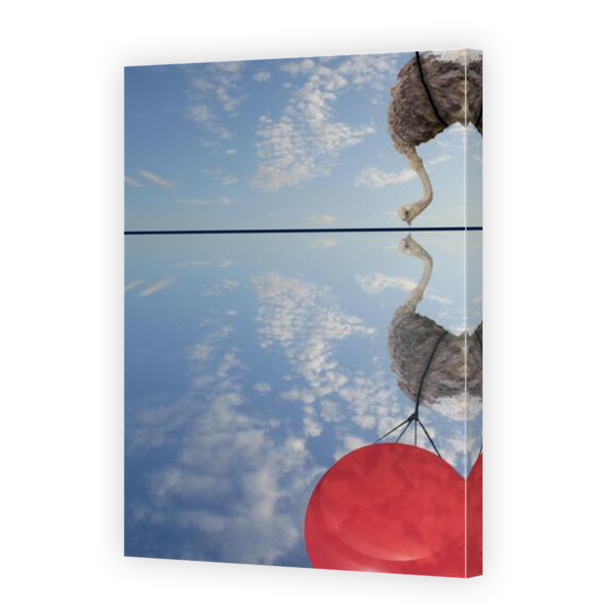 Thumbnail for Canvas - Mirror Image Canvas Wrap