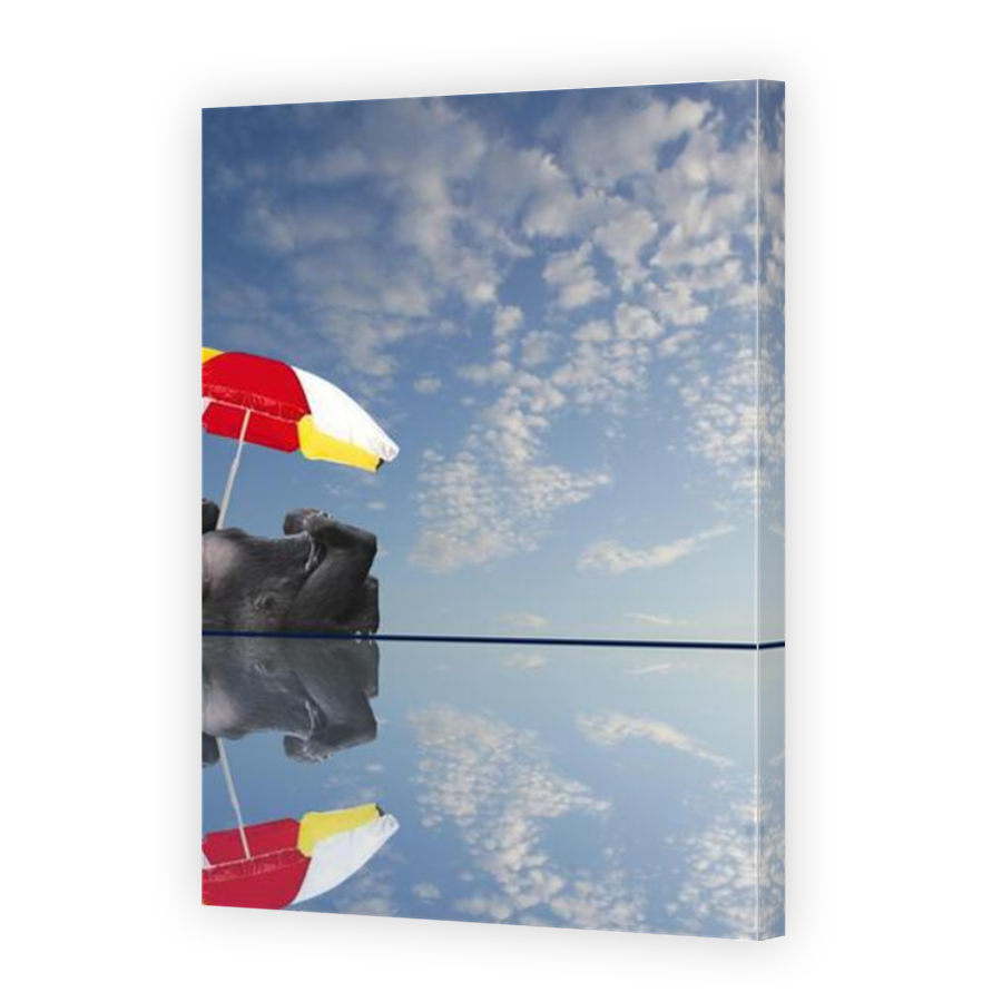 Thumbnail for Canvas - Mirror Image Canvas Wrap