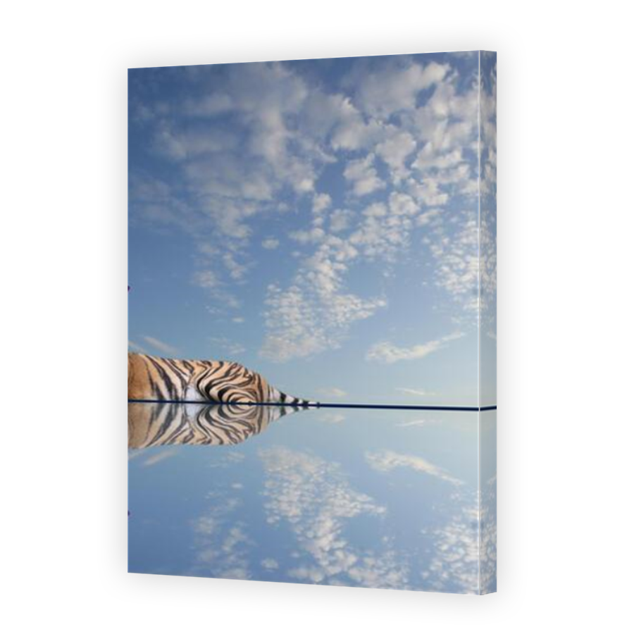 Thumbnail for Canvas - Mirror Image Canvas Wrap