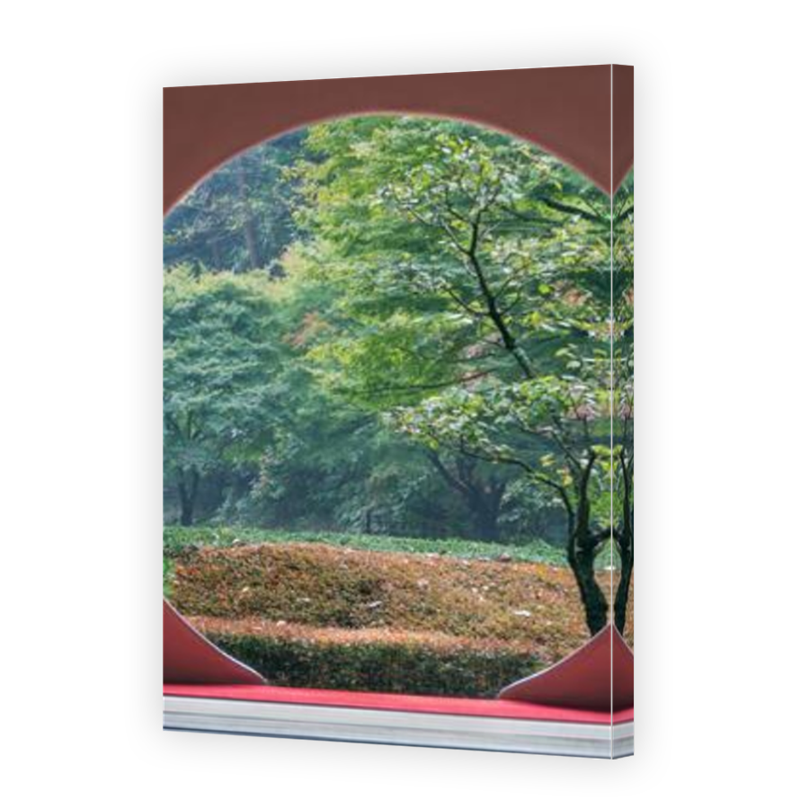 Thumbnail for Canvas - Mirror Image Canvas Wrap