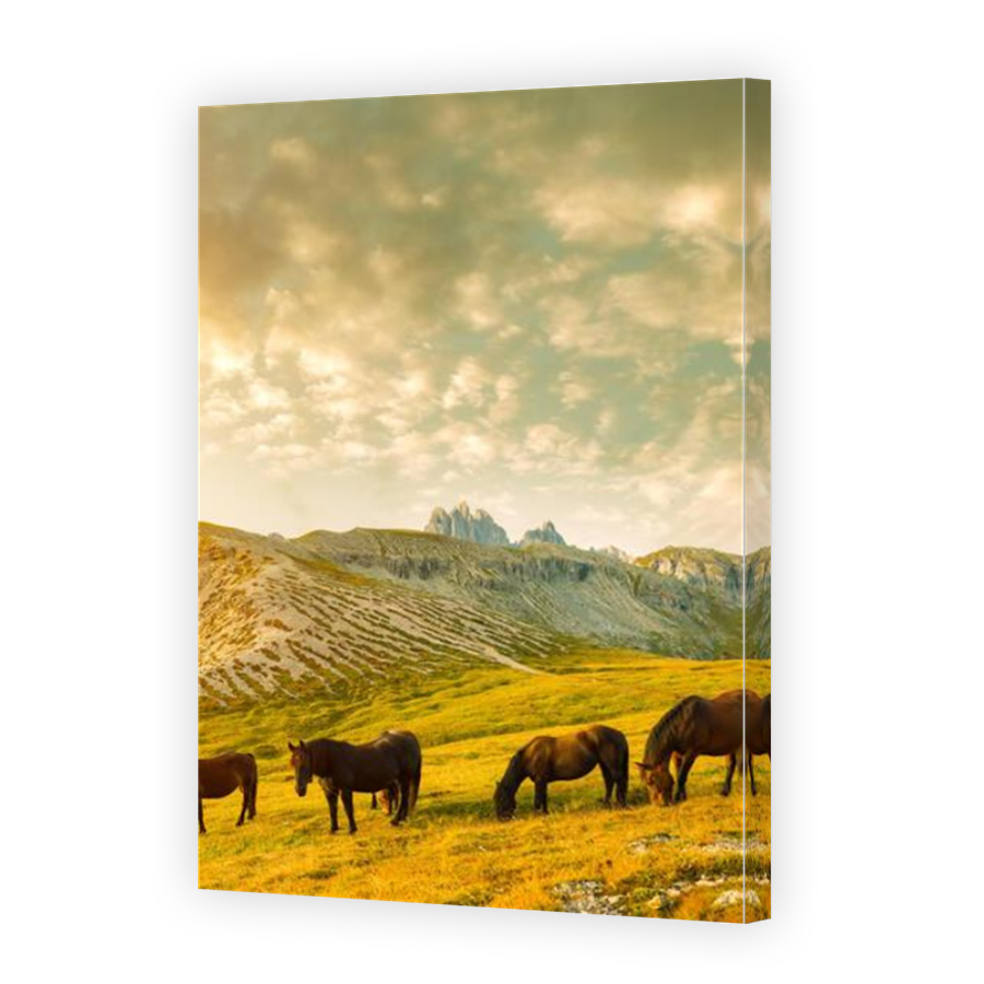 Thumbnail for Canvas - Mirror Image Canvas Wrap