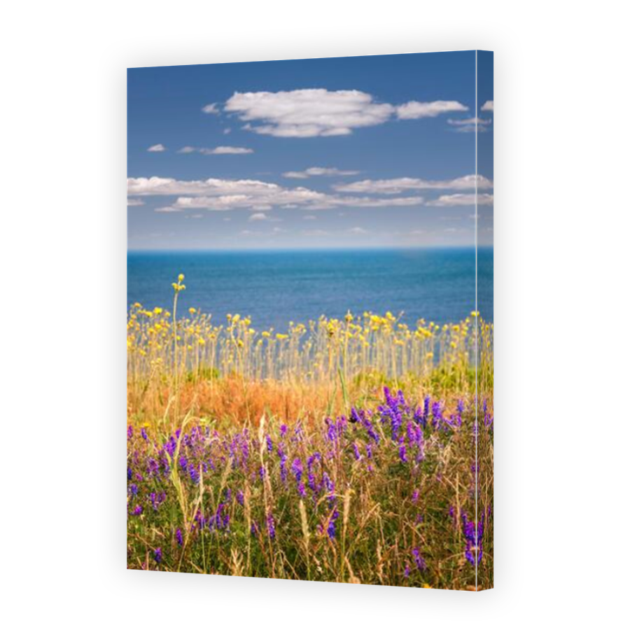 Thumbnail for Canvas - Mirror Image Canvas Wrap