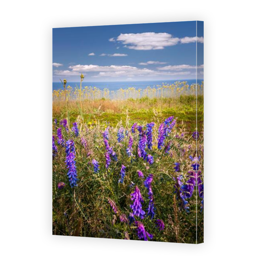 Thumbnail for Canvas - Mirror Image Canvas Wrap