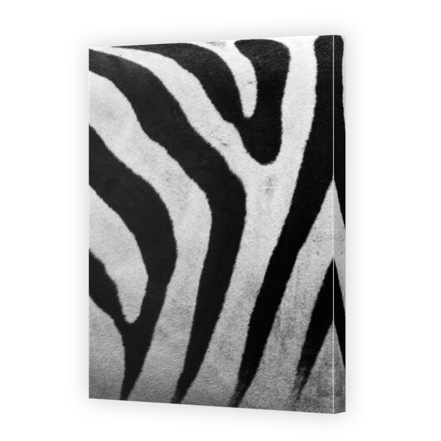 Thumbnail for Canvas - Mirror Image Canvas Wrap