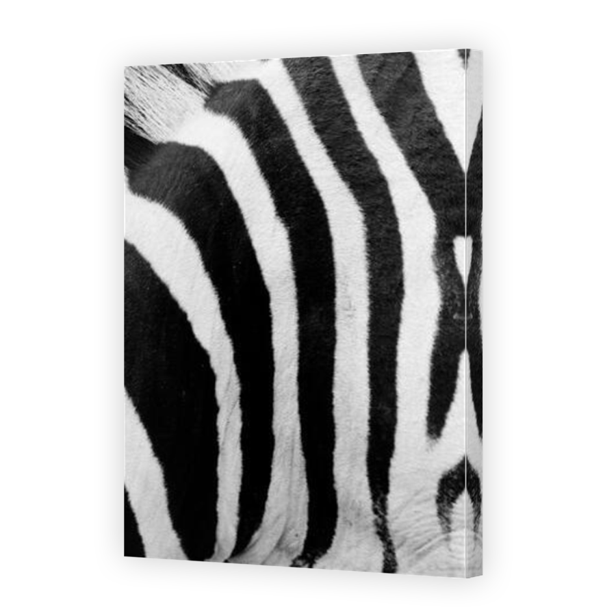 Thumbnail for Canvas - Mirror Image Canvas Wrap