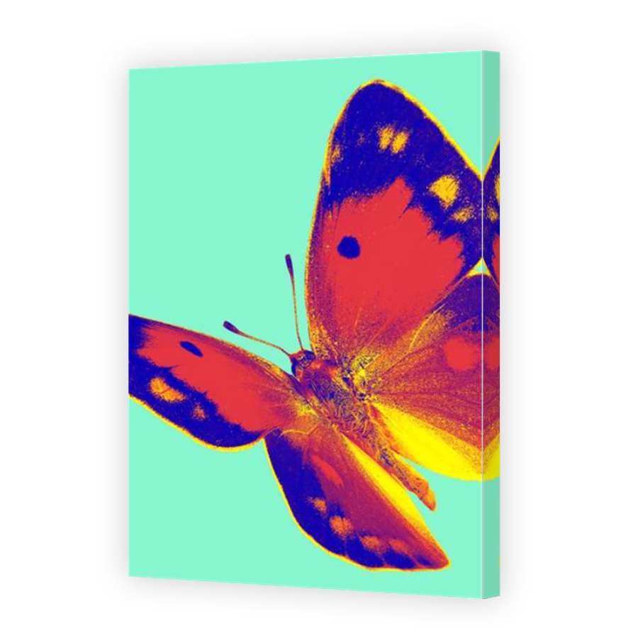 Thumbnail for Canvas - Mirror Image Canvas Wrap