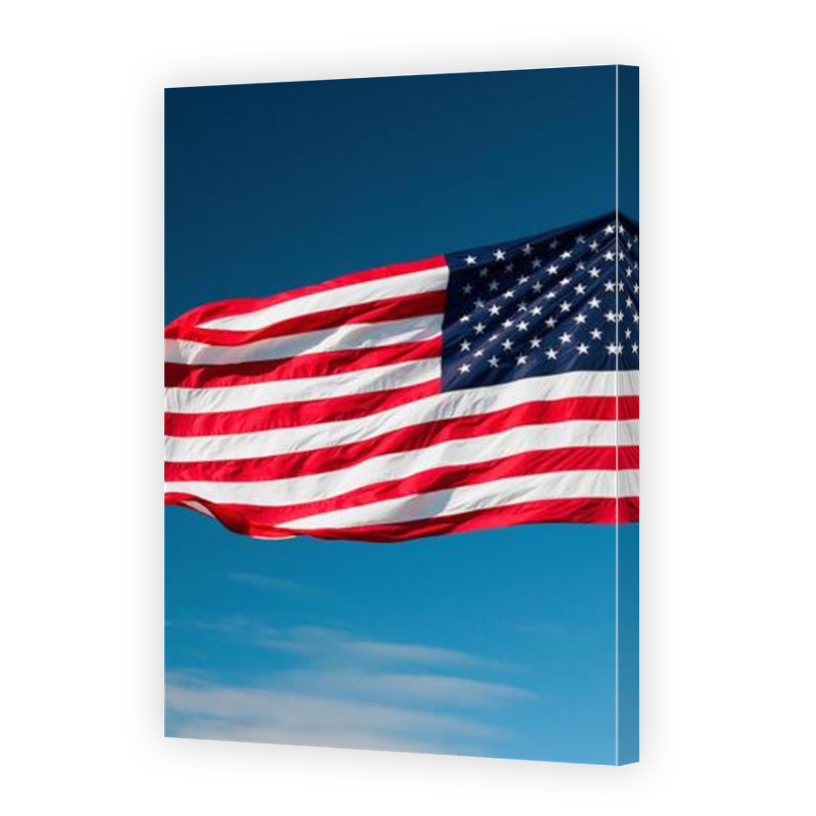 Thumbnail for Canvas - Mirror Image Canvas Wrap