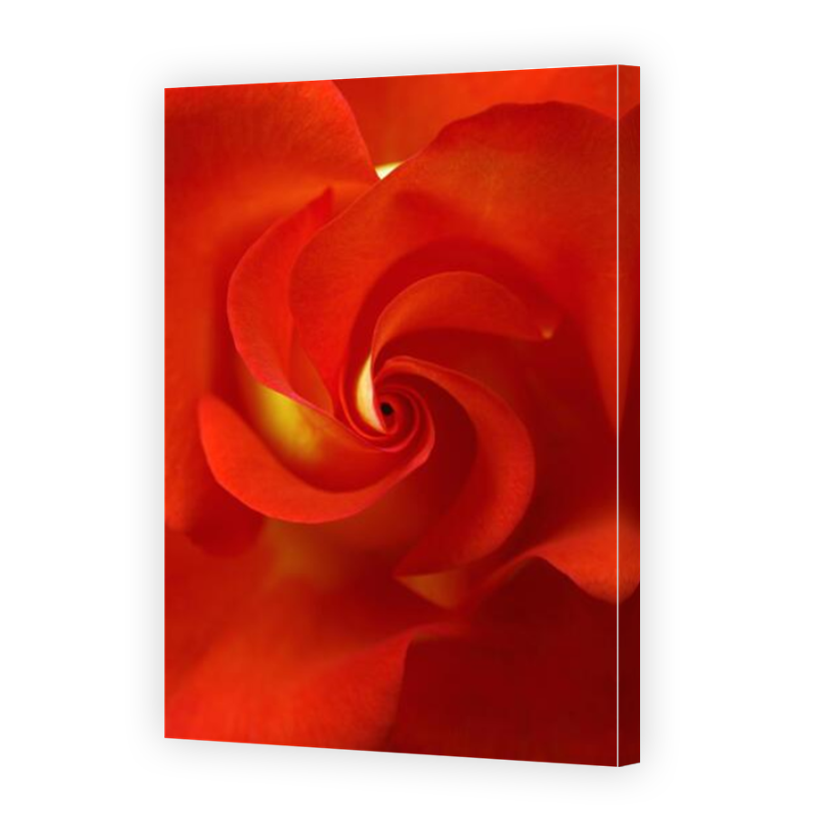 Thumbnail for Canvas - Mirror Image Canvas Wrap