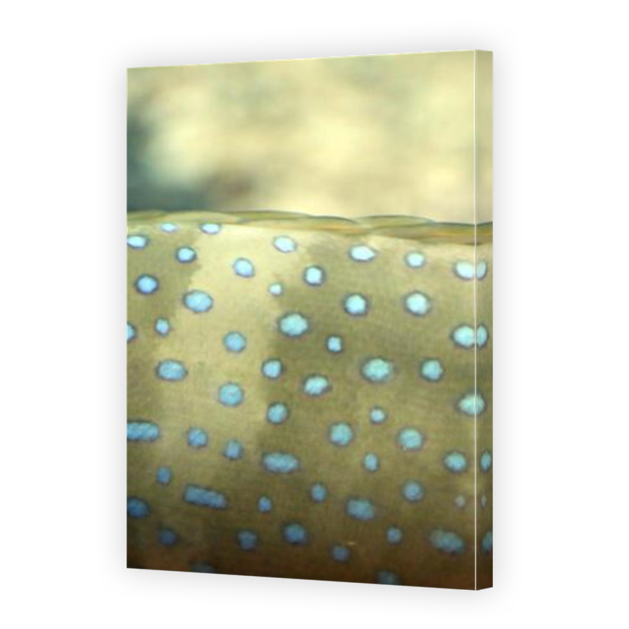 Thumbnail for Canvas - Mirror Image Canvas Wrap