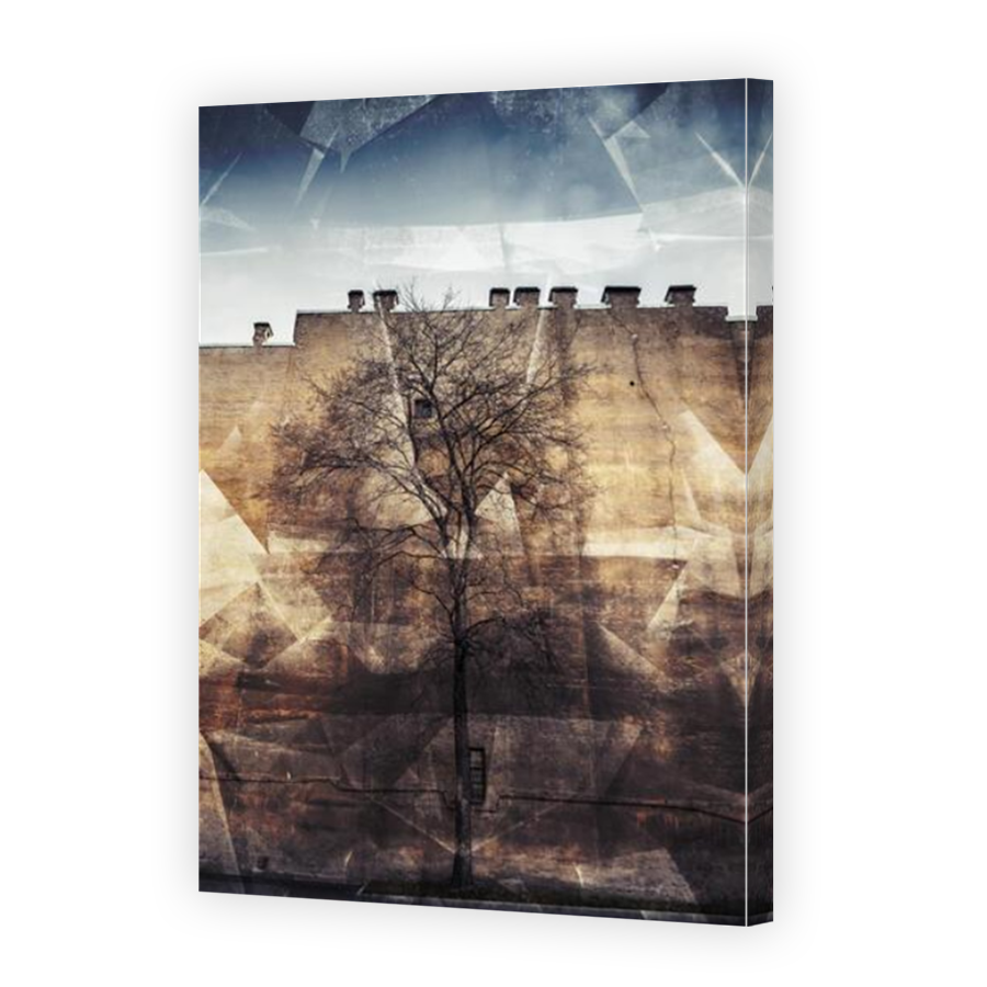 Thumbnail for Canvas - Mirror Image Canvas Wrap