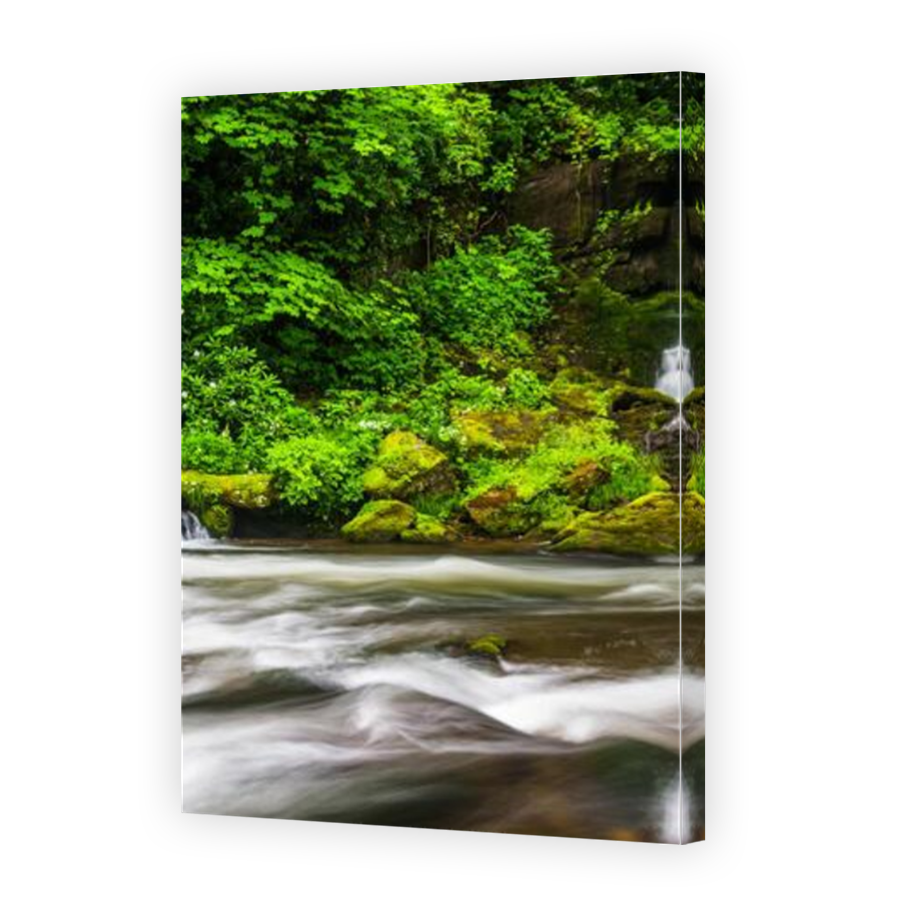 Thumbnail for Canvas - Mirror Image Canvas Wrap