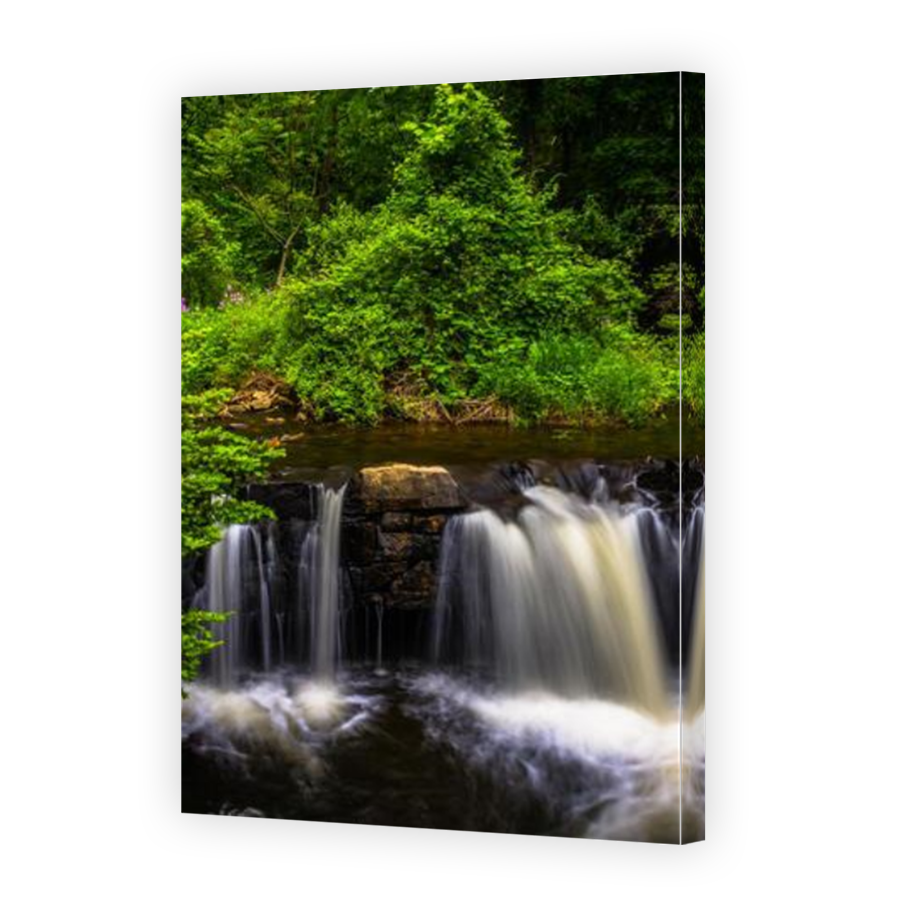 Thumbnail for Canvas - Mirror Image Canvas Wrap