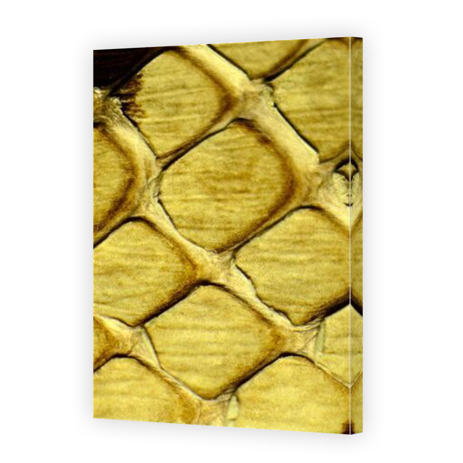 Thumbnail for Canvas - Mirror Image Canvas Wrap