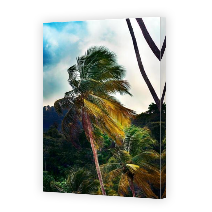 Thumbnail for Canvas - Mirror Image Canvas Wrap