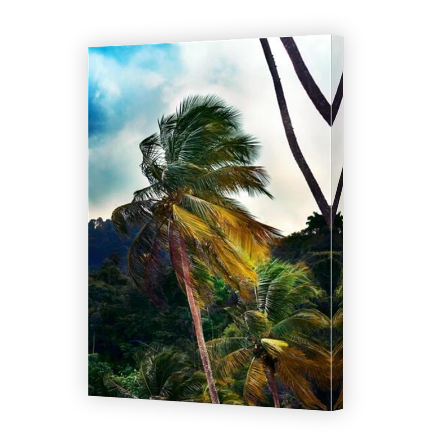 Thumbnail for Canvas - Mirror Image Canvas Wrap
