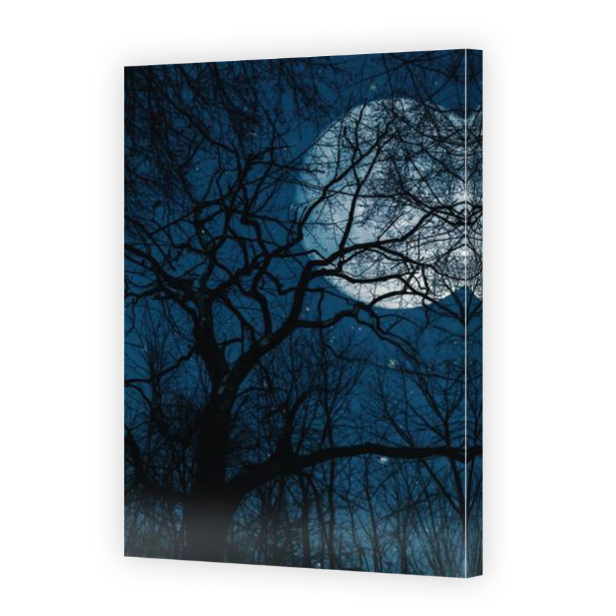 Thumbnail for Canvas - Mirror Image Canvas Wrap