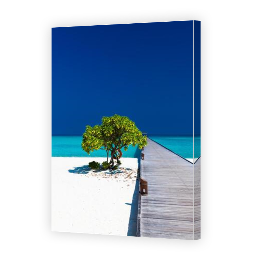 Thumbnail for Canvas - Mirror Image Canvas Wrap