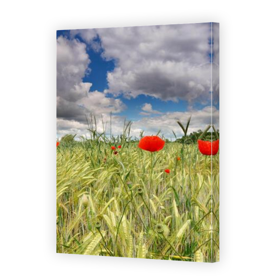 Thumbnail for Canvas - Mirror Image Canvas Wrap