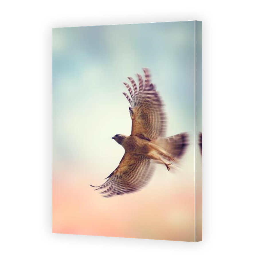 Thumbnail for Canvas - Mirror Image Canvas Wrap