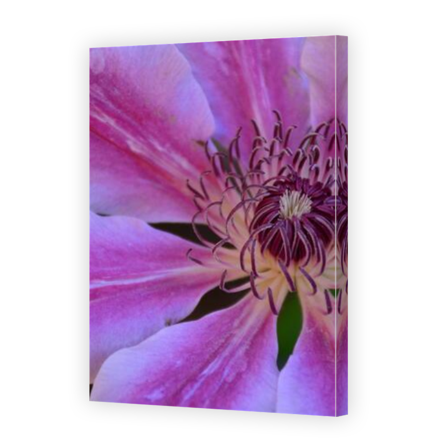Thumbnail for Canvas - Mirror Image Canvas Wrap