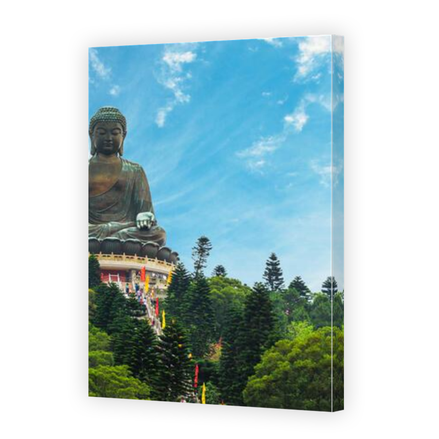 Thumbnail for Canvas - Mirror Image Canvas Wrap