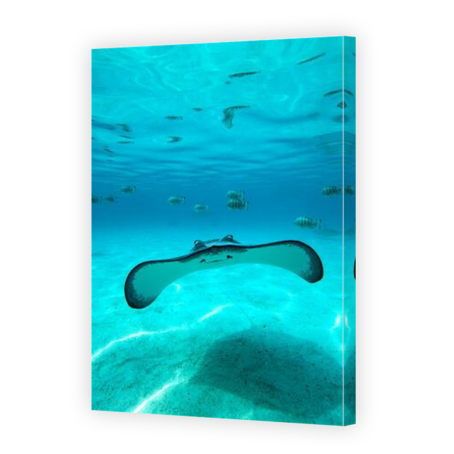 Thumbnail for Canvas - Mirror Image Canvas Wrap