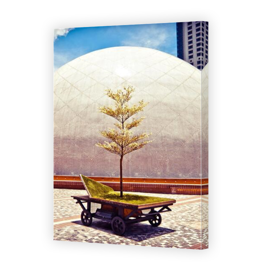 Thumbnail for Canvas - Mirror Image Canvas Wrap
