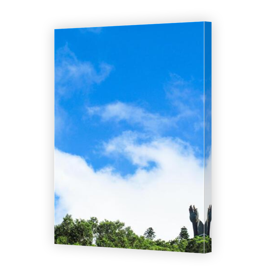 Thumbnail for Canvas - Mirror Image Canvas Wrap