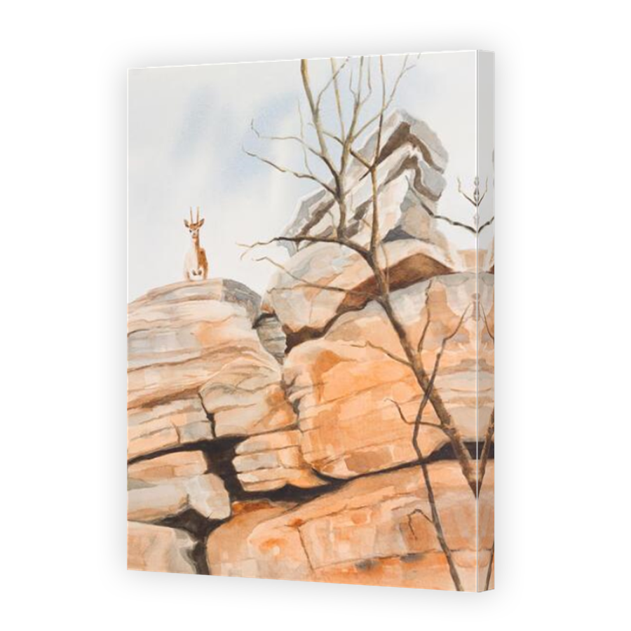 Thumbnail for Canvas - Mirror Image Canvas Wrap