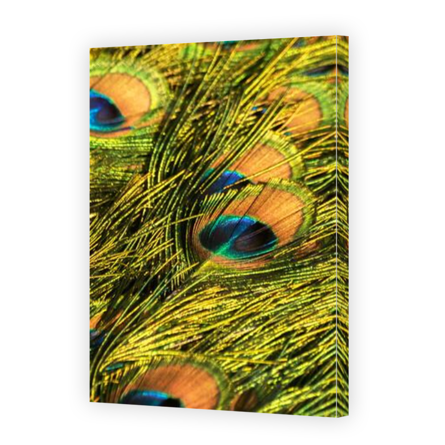 Thumbnail for Canvas - Mirror Image Canvas Wrap
