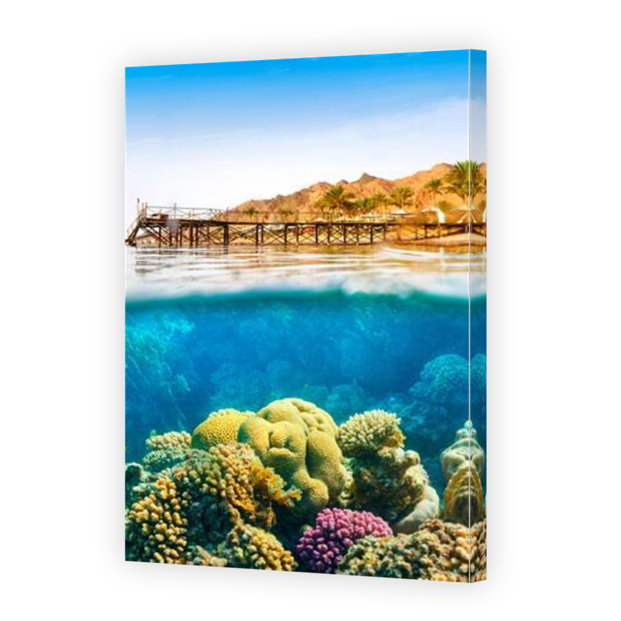 Thumbnail for Canvas - Mirror Image Canvas Wrap