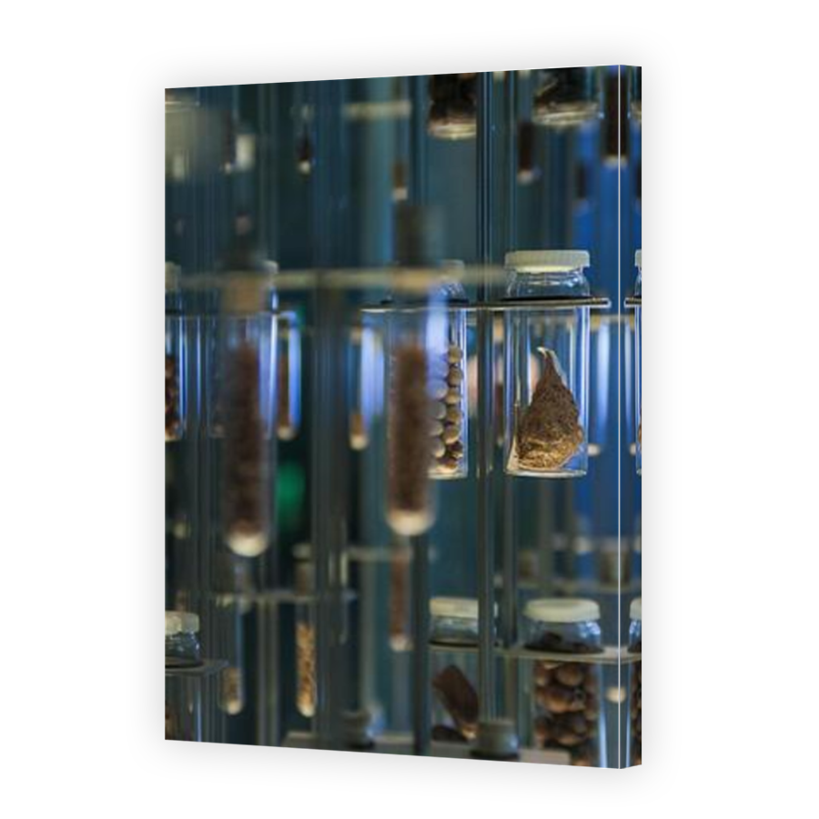 Thumbnail for Canvas - Mirror Image Canvas Wrap