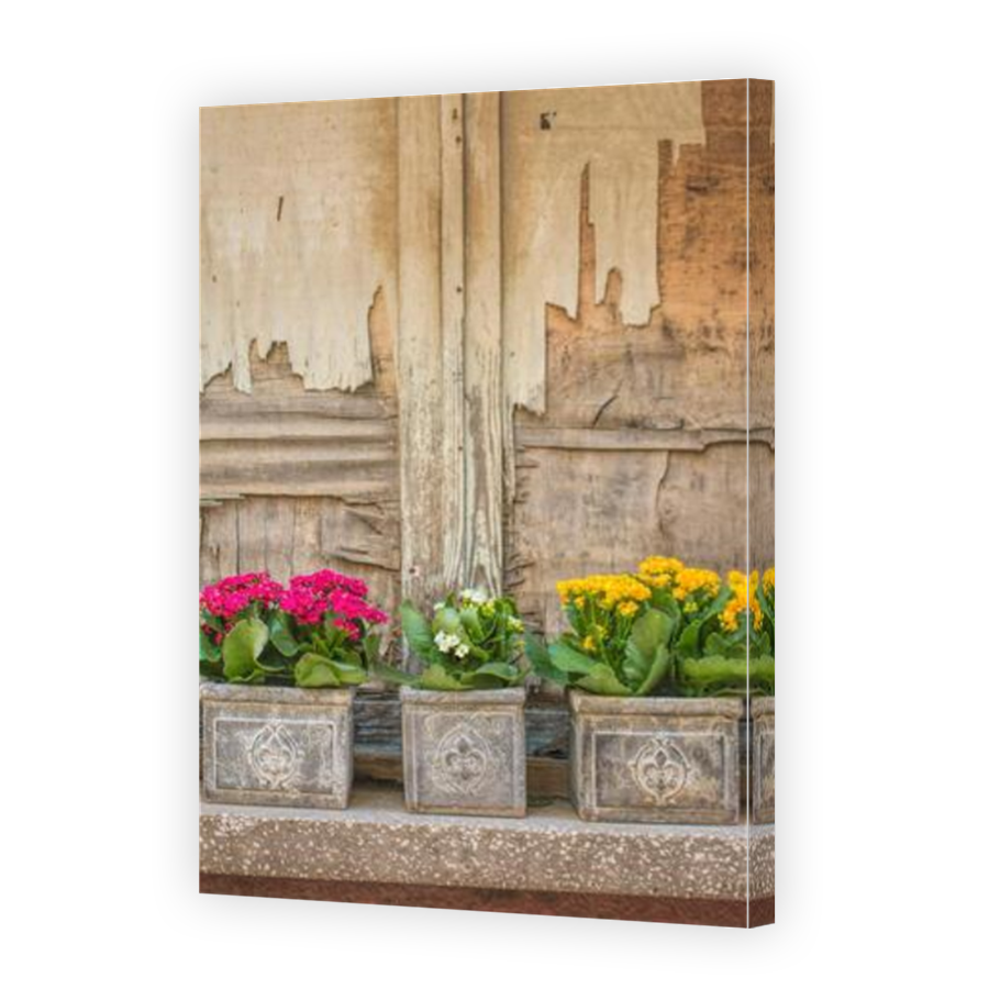 Thumbnail for Canvas - Mirror Image Canvas Wrap