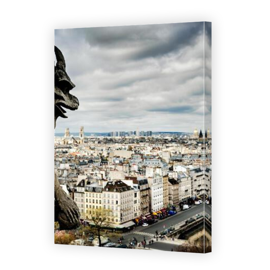 Thumbnail for Canvas - Mirror Image Canvas Wrap