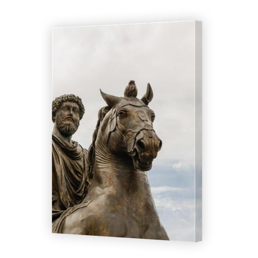 Thumbnail for Canvas - Mirror Image Canvas Wrap