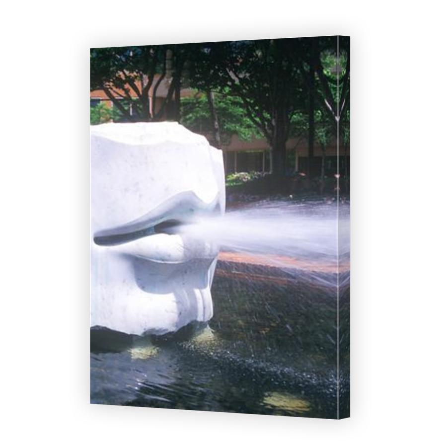 Thumbnail for Canvas - Mirror Image Canvas Wrap