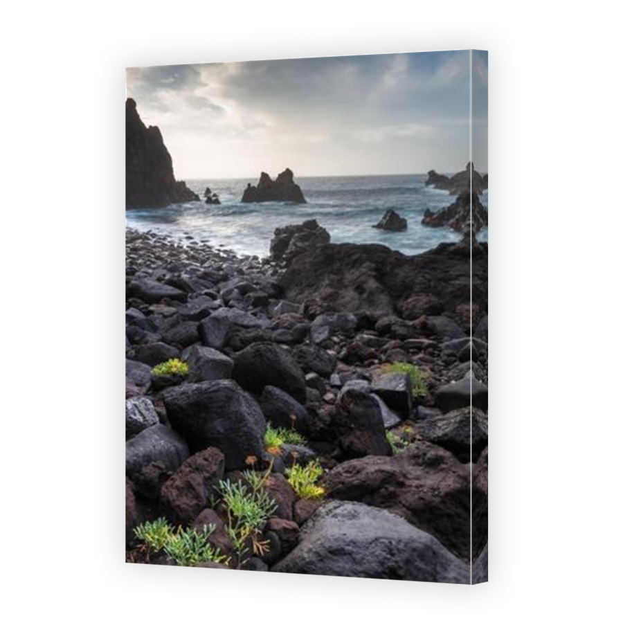 Thumbnail for Canvas - Mirror Image Canvas Wrap