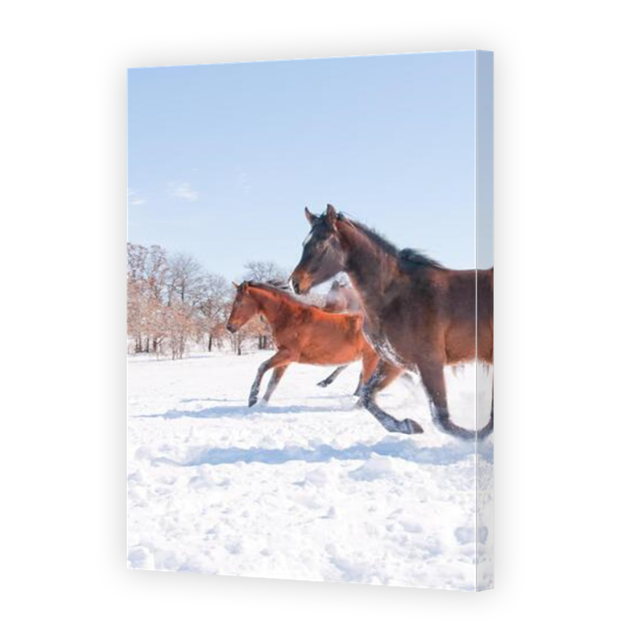 Thumbnail for Canvas - Mirror Image Canvas Wrap